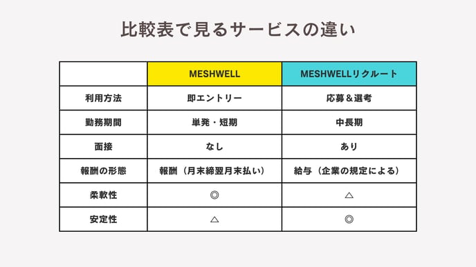 株式会社メッシュウェル (1)